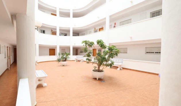 Resale - Apartment -
Torrevieja - Costa Blanca