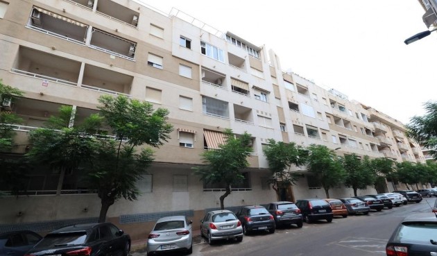 Resale - Apartment -
Torrevieja - Costa Blanca