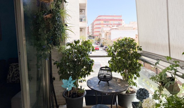 Resale - Apartment -
Torrevieja - Costa Blanca