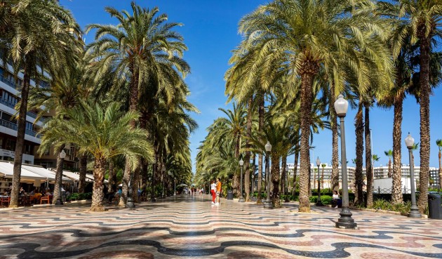 Resale - Apartment -
Alicante - Costa Blanca