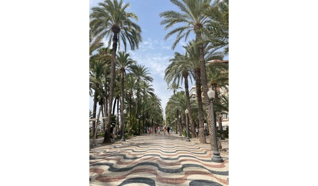 Resale - Apartment -
Alicante - Costa Blanca
