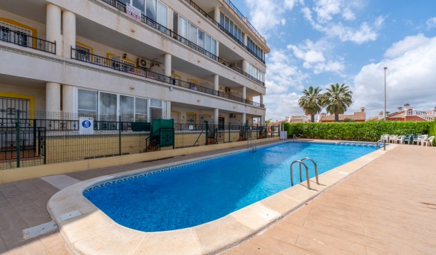 Resale - Apartment -
Playa Flamenca - Costa Blanca