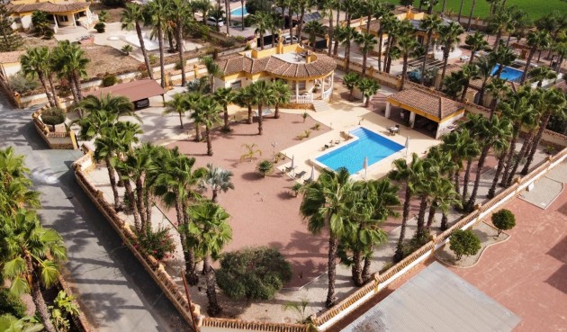 Resale - Villa -
Catral - Costa Blanca