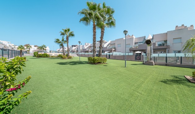Korttidsleie - Apartment -
Torrevieja