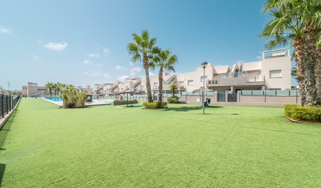 Korttidsleie - Apartment -
Torrevieja