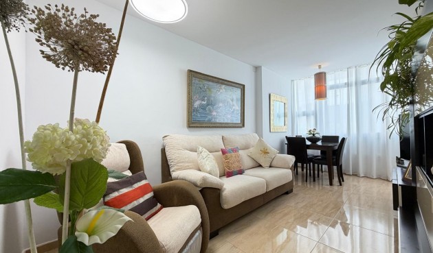 Brukt - Apartment -
Torrevieja - Paseo Maritimo