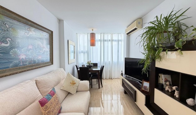 Brukt - Apartment -
Torrevieja - Paseo Maritimo