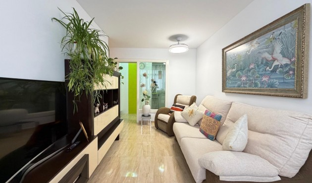 Brukt - Apartment -
Torrevieja - Paseo Maritimo