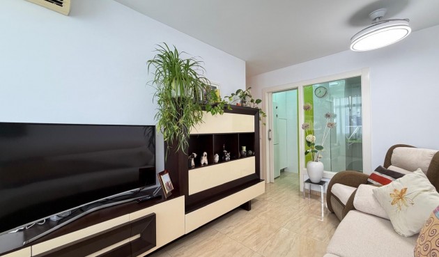Brukt - Apartment -
Torrevieja - Paseo Maritimo