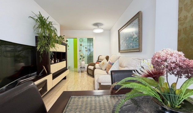 Brukt - Apartment -
Torrevieja - Paseo Maritimo