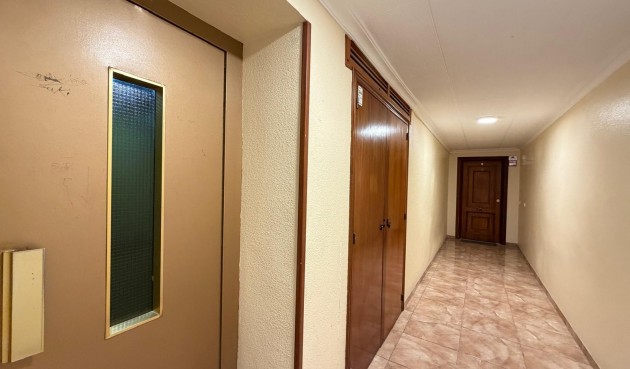 Brukt - Apartment -
Torrevieja - Paseo Maritimo
