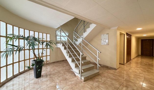 Brukt - Apartment -
Torrevieja - Paseo Maritimo