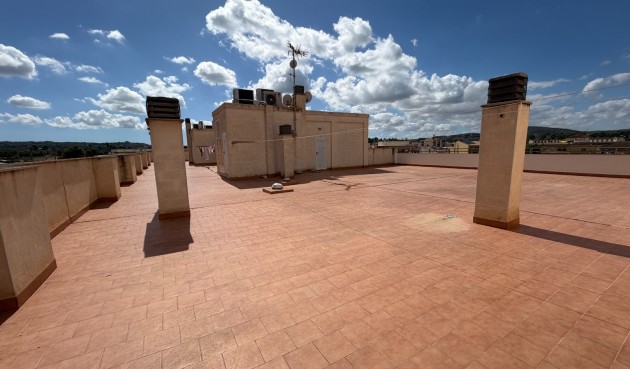 Resale - Apartment -
Jacarilla - Inland