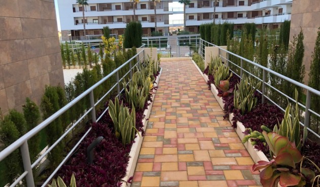 Resale - Apartment -
Cabo Roig - Costa Blanca