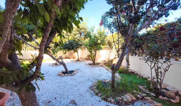 Resale - Apartment -
Cabo Roig - Costa Blanca