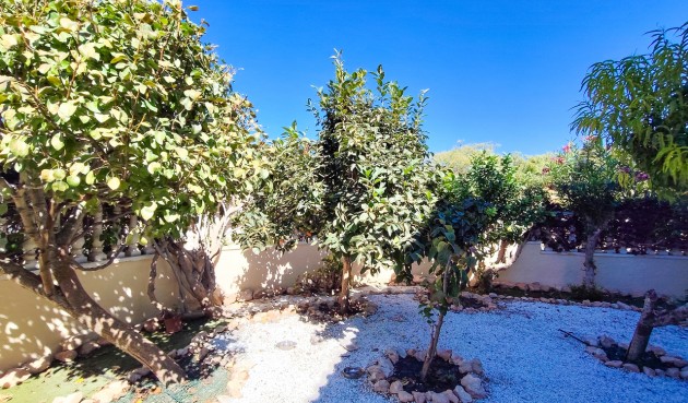 Resale - Apartment -
Cabo Roig - Costa Blanca