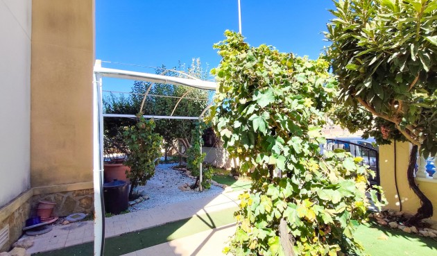 Resale - Apartment -
Cabo Roig - Costa Blanca
