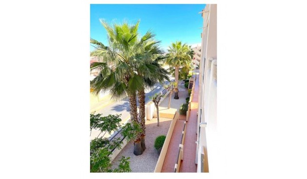 Resale - Apartment -
Playa Flamenca - Costa Blanca