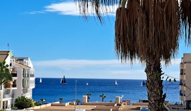 Resale - Apartment -
Torrevieja - Costa Blanca