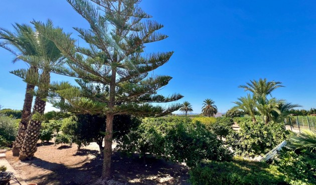 Resale - Villa -
Almoradí - Comunidad Valenciana