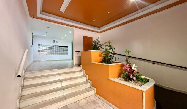 Resale - Apartment -
Torrevieja - Playa de los Locos
