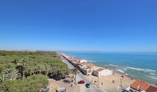 Resale - Penthouse -
Guardamar del Segura - Guardamar Playa