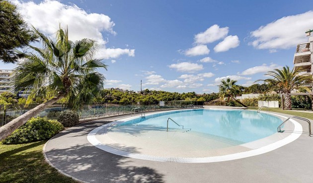 Resale - Apartment -
Orihuela Costa - Los Dolses