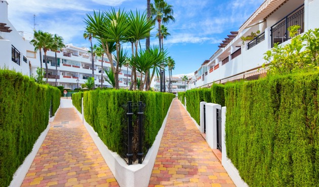 Resale - Apartment -
Orihuela Costa - Costa Blanca