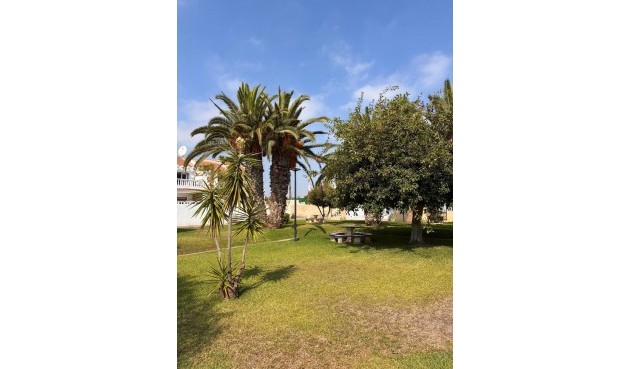 Resale - Apartment -
Los Almendros (Orihuela-Costa) - Costa Blanca