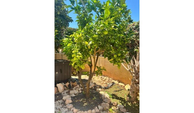 Resale - Villa -
Orihuela Costa - Lomas de Cabo Roig