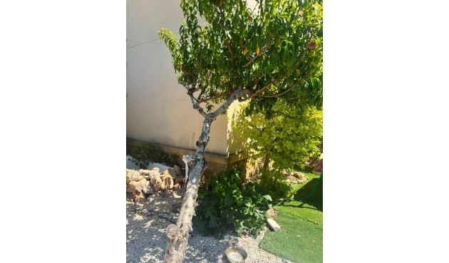 Resale - Villa -
Orihuela Costa - Lomas de Cabo Roig