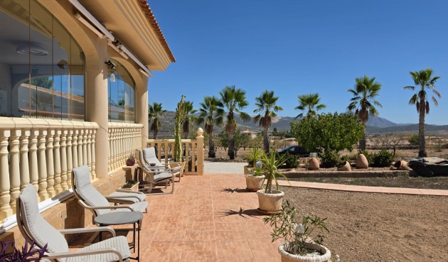 Resale - Villa -
Pinoso - Inland