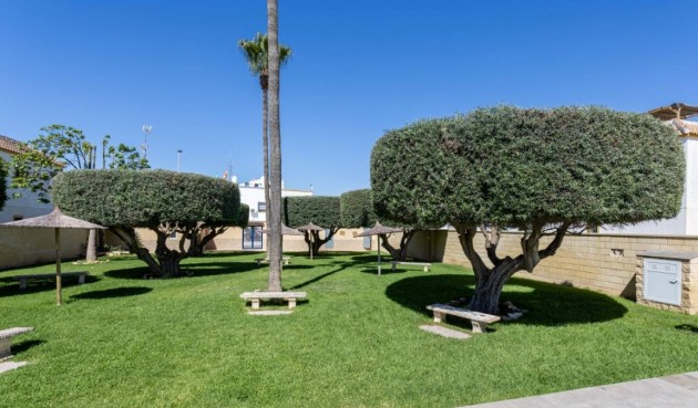 Resale - Apartment -
Torrevieja - Costa Blanca