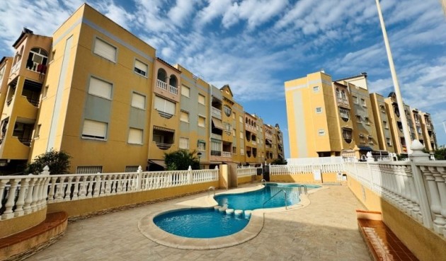 Brukt - Apartment -
La Mata - Costa Blanca