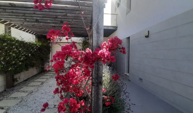Resale - Villa -
San Javier - La Ribera