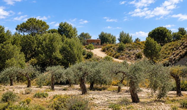 Resale - Villa -
Murcia - Inland