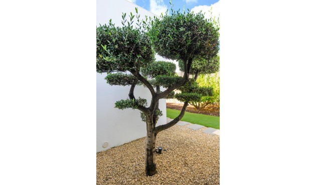 Resale - Villa -
Orihuela - Inland