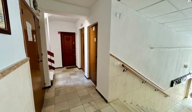 Resale - Apartment -
Torrevieja - Costa Blanca
