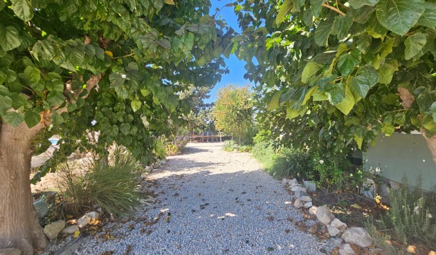 Resale - Villa -
Orihuela - Molins-campaneta-san Bartolomé