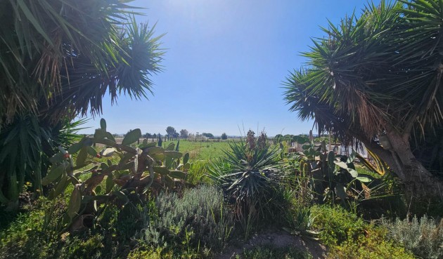 Resale - Villa -
Orihuela - Molins-campaneta-san Bartolomé