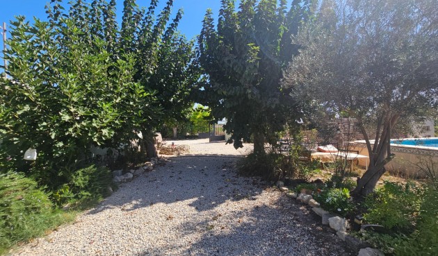 Resale - Villa -
Orihuela - Molins-campaneta-san Bartolomé