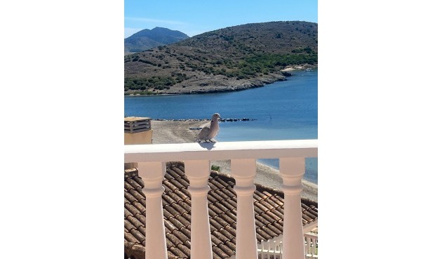 Resale - Villa -
La Manga del Mar Menor - Villa Romana