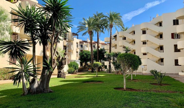 Brukt - Apartment -
Denia - Costa Blanca