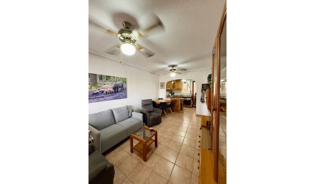 Reventa - Penthouse Penthouse -
Guardamar del Segura - Costa Blanca
