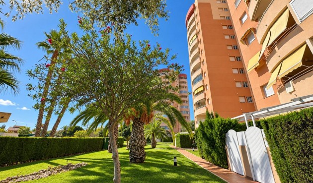 Brukt - Apartment -
Orihuela Costa - Campoamor