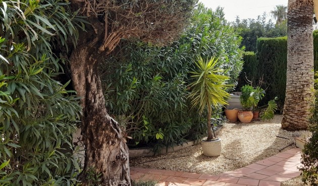 Brukt - Villa -
Orba - Inland