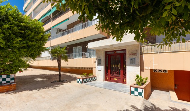 Brukt - Apartment -
Torrevieja - Costa Blanca