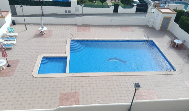 Brukt - Apartment -
Los Montesinos - Costa Blanca