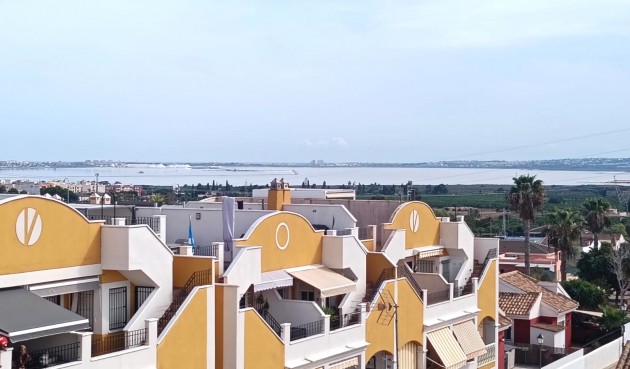 Brukt - Apartment -
Los Montesinos - Costa Blanca