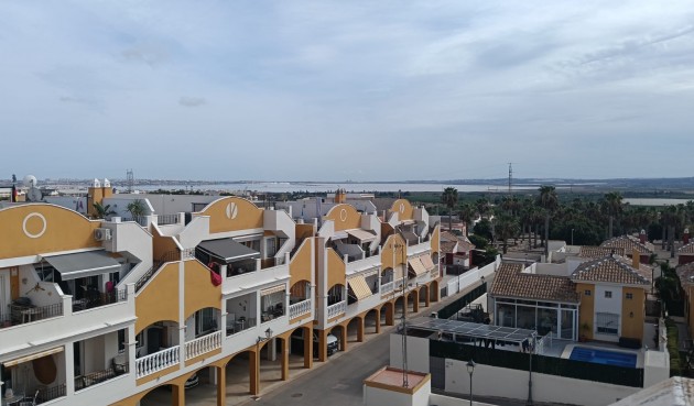 Brukt - Apartment -
Los Montesinos - Costa Blanca
